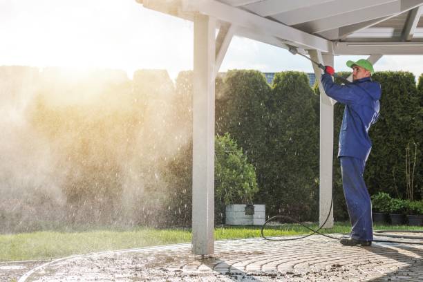 Best Soft Washing  in Gun Barrel City, TX