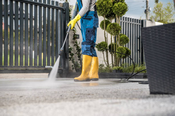 Best Roof Washing  in Gun Barrel City, TX