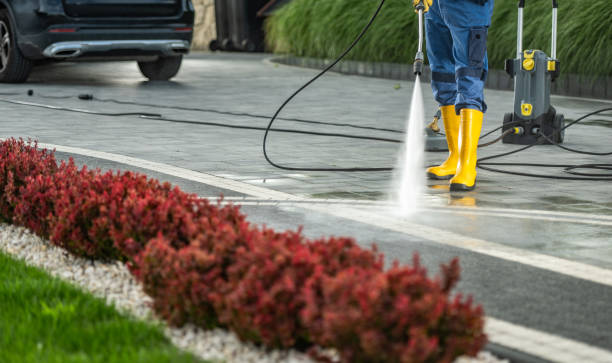 Best Animal Enclosure Cleaning  in Gun Barrel City, TX
